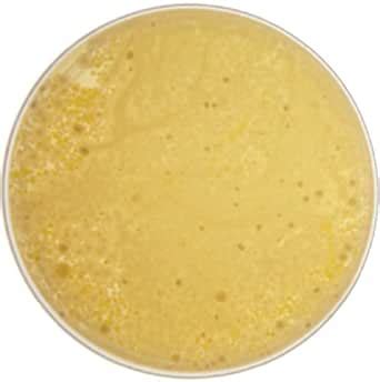 Edvotek 958 Ecological Equilibrium I - Population Studies of ...