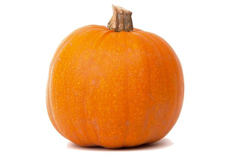 Real Pumpkin Transparent PNG | PNG Mart