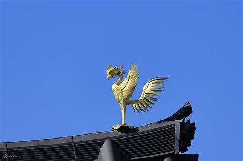 [Kyoto & Nara & Uji Day Trip] Nara Park's Adorable Deer & Fushimi Inari ...