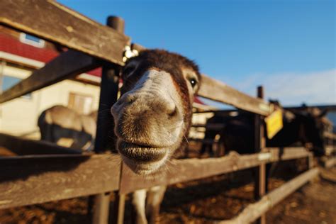 American Express Rewards Checking Account 2026 Review