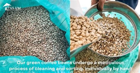 Coffee Subscription – Tulum Coffee