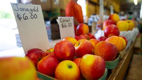 Greater South Bend region has an abundance of farmers markets to visit