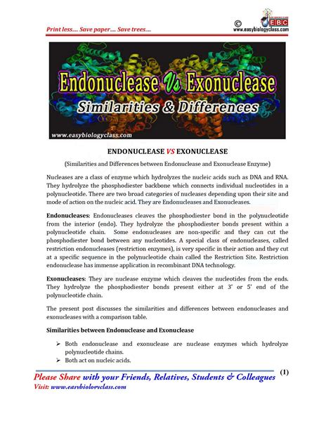 SOLUTION: Similarities and differences between endonuclease and ...