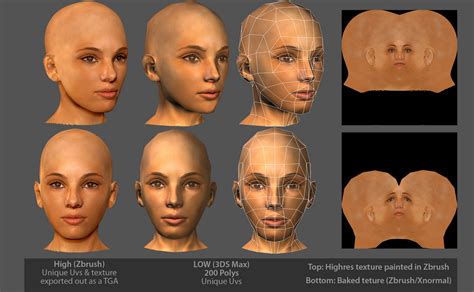 Image result for How to Use xNormal