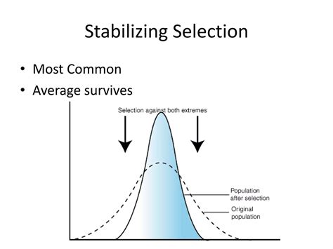 Types of selection | PPTX