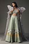 Buy Green Georgette Embellished Feather Cape Structured Hand Painted ...