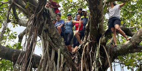 LetsGoa - Ocean Trek Hippie Trail Goa | Coastal & Cliffside Adventure