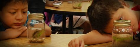 Image result for Reaction Time Kid