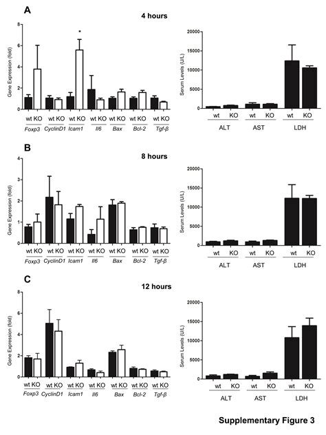 Chemokine Receptor Ccr6 Deficiency Alters Hepatic Inflammatory Cell ...