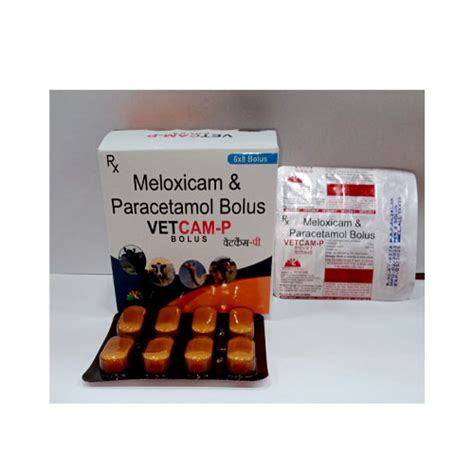 VETCAM-P Bolus Medna Biotech Pvt. Ltd.