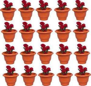 Ramanuj (Pack of 20) 10 inches Heavy Duty Plastic New Gardening Flower ...