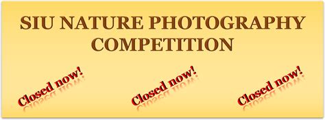 SIU Nature Photography Competition | Symbiosis International (Deemed ...
