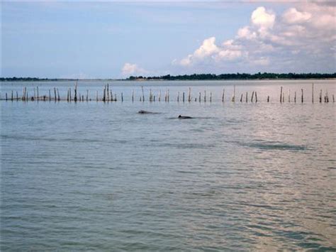 Satpada Lake near Puri, Places to Visit near Satpada Lake Puri