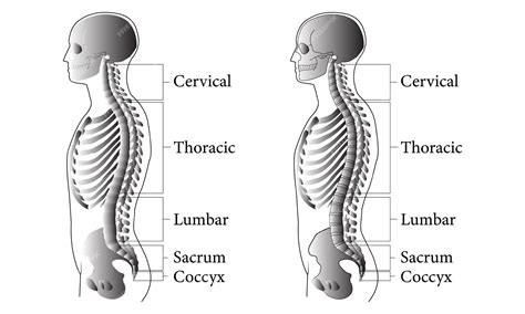 Biological System 的图像结果