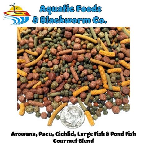 Aquatic foods inc. Arowana, Pacu, Cichlid, Large Fish, pond Fish India ...
