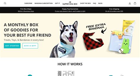 The 8 Best Subscription Boxes for Your Dog