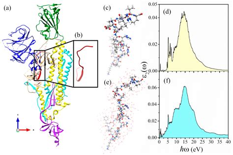 First-Principles Simulation of Dielectric Function in Biomolecules