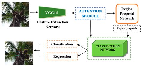 Detection of Coconut Clusters Based on Occlusion Condition Using ...