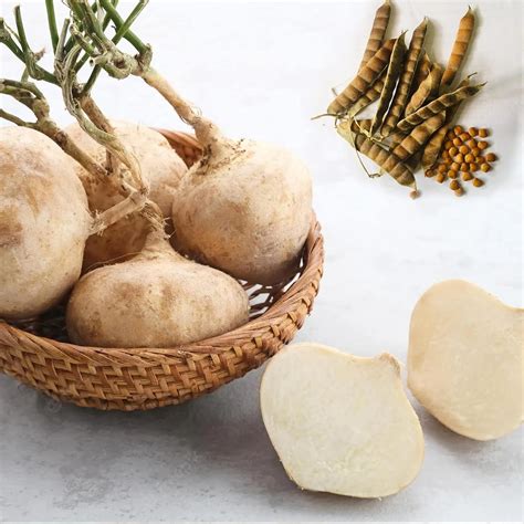 Green Horizon Singkamas, Yam Bean, jicama seed pack of 75 : Amazon.in ...