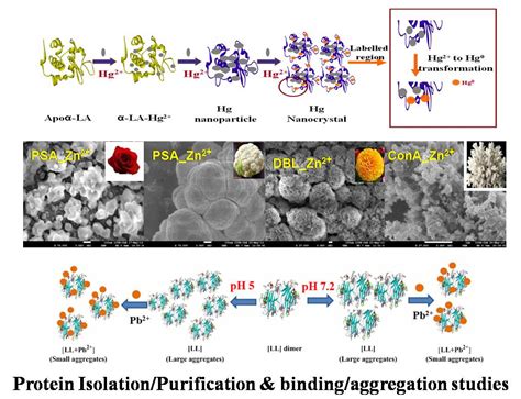 Research - IITB CPR Lab