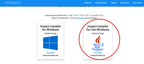 Image result for Baritone Inject Minecraft