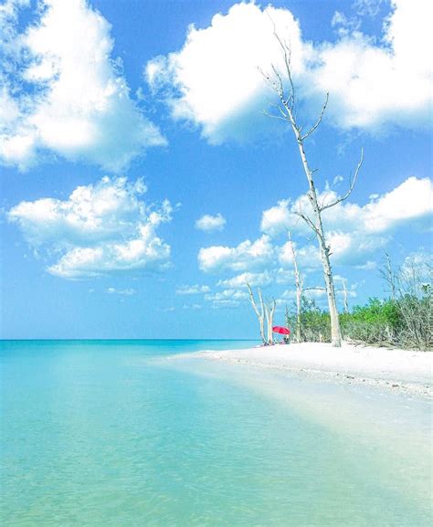 Stump Pass Beach State Park