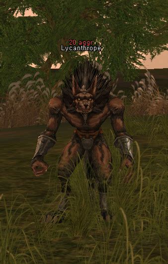 Image result for Lycanthro PSO2