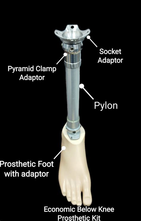 Economic Below Knee Kit – Artificial Llimb