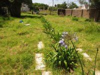 Communitree - Weeding and grass cutting at Ryan Road Park