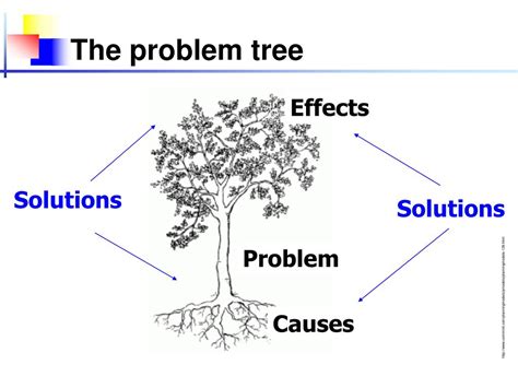 Trees Problems Java 的图像结果