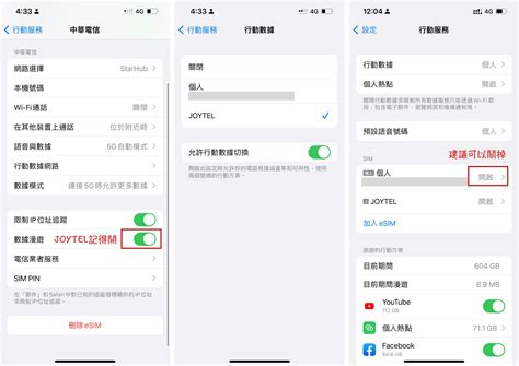 Esim Tutorial 的图像结果