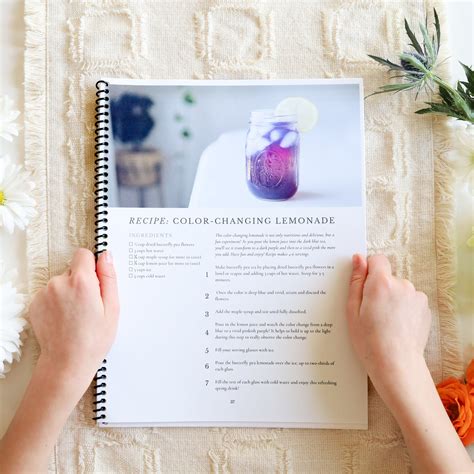 Image result for Spring 1 Guide