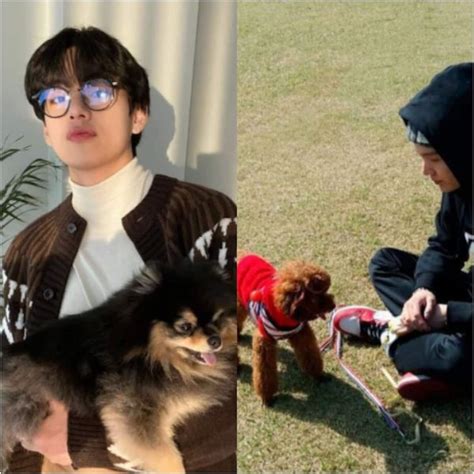 BTS: From Taehyung aka V’s Yeontan to Jungkook’s Gureum – a look at the ...