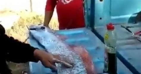 'Bad Omen' Oarfish Found A Second Time In Mexico