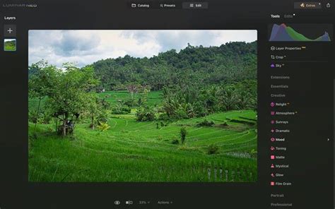 Image result for Neo Luminar Sample