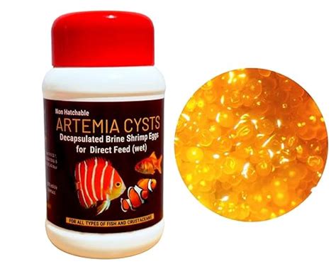 Non- Hatchable Decapsulated Artemia Cyst Ready to Feed,Decap Wet Brine ...