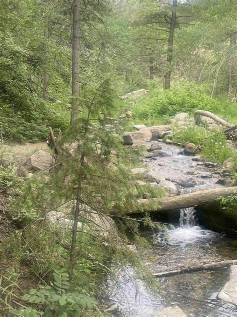 Anne U. White Trail - Colorado | AllTrails