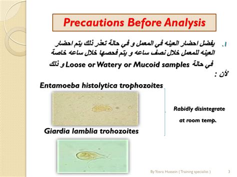 Image result for Stool Analysis Procedure