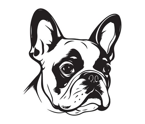 french bulldog Face, Silhouette Dog Face, black and white french ...