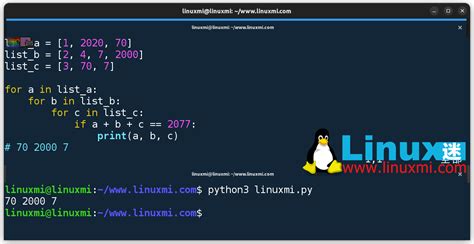 Python IIT 的图像结果