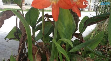 TZ'UNUN (Cancun) - B&B Reviews & Photos - Tripadvisor