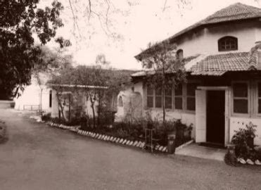 The Ferns' Food Story – Ferns Food