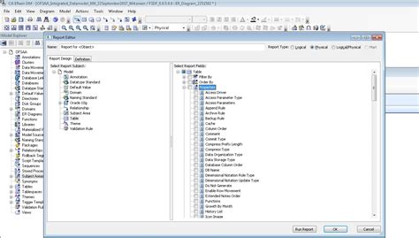 Erwin Data Model 的图像结果