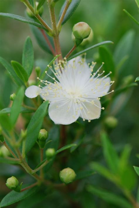 Image result for JavaScript Integer Syntax