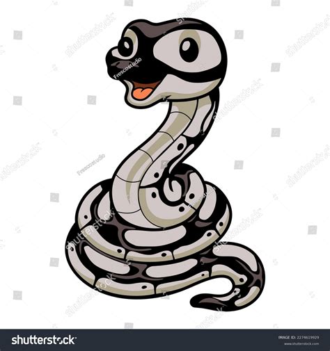 Image result for Video That Makes Python's Look Cute