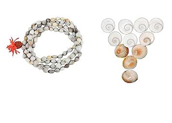 Buy Raviour Lifestyle Gomti Chakra for pooja (11 pieces) and Vaijayanti ...