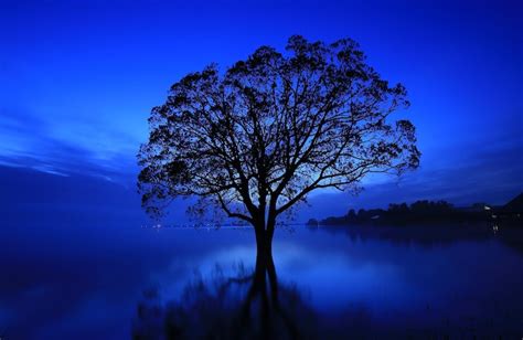 Hd wallpaper Bilder - Kostenloser Download auf Freepik