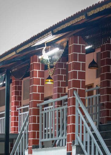 Mountain Bear Gallery | Wild Valley