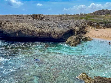 BONAIRE REEFS TO TREES TOURS - All You Need to Know BEFORE You Go 2026 ...