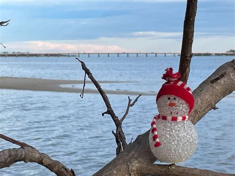 Christmas Lunch Cruise., 41 Harbour Promenade Banksia Beach, 7 December ...